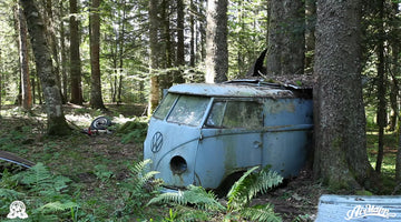 RESURRECTION - Rescue of a VW 1955 panelvan - Forest find