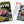 Hot VWs Magazine - 2020年(単品)
